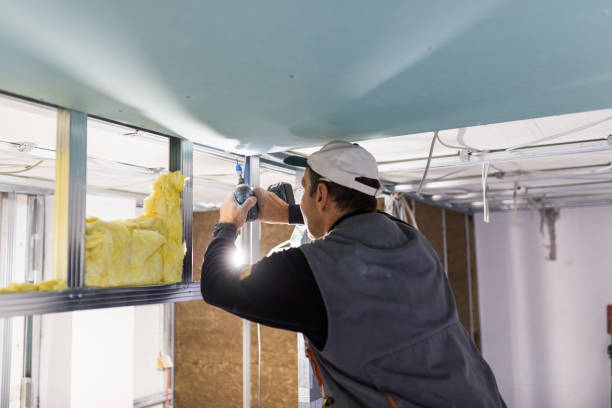 Best Insulation Installation Services in Black River Falls, WI